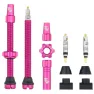 Wolf Tooth Tubeless Clik Valve Stem Kit, Rosa, Sykkeldekk