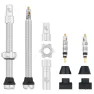 Wolf Tooth Tubeless Clik Valve Stem Kit, Sølv, Sykkeldekk