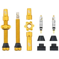 Wolf Tooth Tubeless Ventiler
