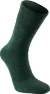 Forestgreen