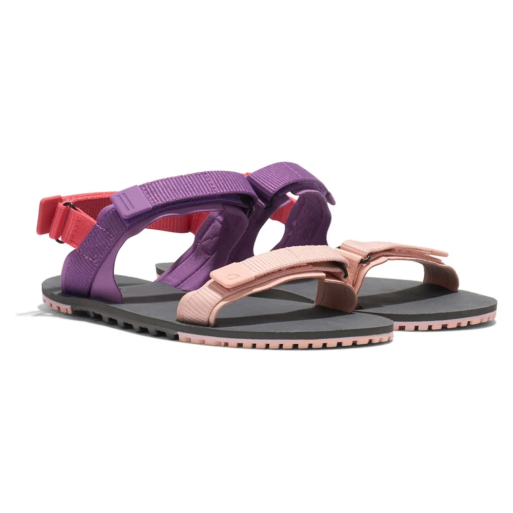 Xero Shoes D-trail Sandaler Refurbished, Dewberry multi Xero Shoes D-trail Sandaler Refurbished, Dewberry multi