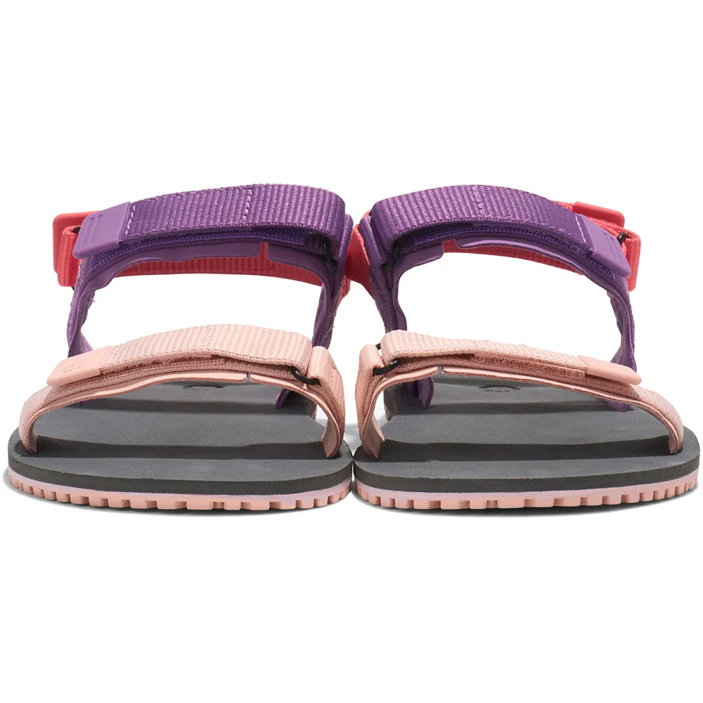Xero Shoes D-trail Sandaler Refurbished, Dewberry multi Xero Shoes D-trail Sandaler Refurbished, Dewberry multi