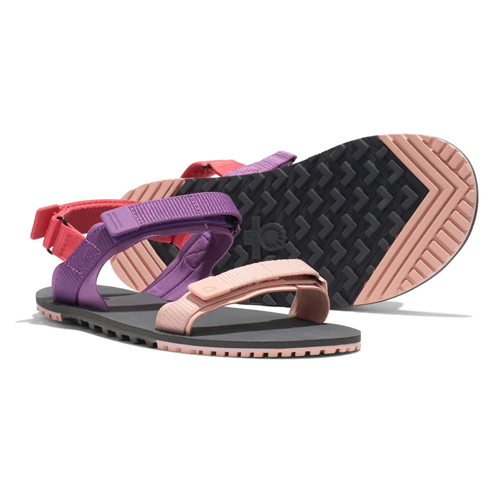 Xero Shoes D-trail Sandaler Refurbished, Dewberry multi Xero Shoes D-trail Sandaler Refurbished, Dewberry multi