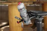 XLAB X-NUT CO2 Feste