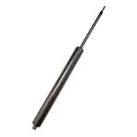 XON 125 Mm Patron