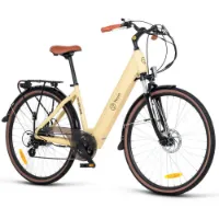 Youin You-ride Viena Elektrisk Sykkel Youin You-ride Viena Elektrisk Sykkel