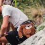 YY Vertical Sloth Krittpose, One size