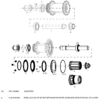 ZIPP 12x142 Centerlock Campagnolo Endekopper for Cognition ZIPP 12x142 Centerlock Campagnolo Endekopper for Cognition