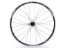 ZIPP 30 Course Clincher Campagnolo Bakhjul