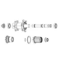 ZIPP Sp9 B1 Sram 10/11s Non Xdr 61803 Ceramic Freehub-kropp