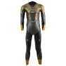 Gunmetal / gold