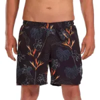Zoot Hilo Shorts male