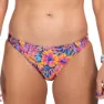 Zoot Ltd Swim Bikini Bunn female